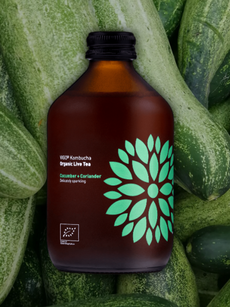 Kombucha Castravete si Coriandru